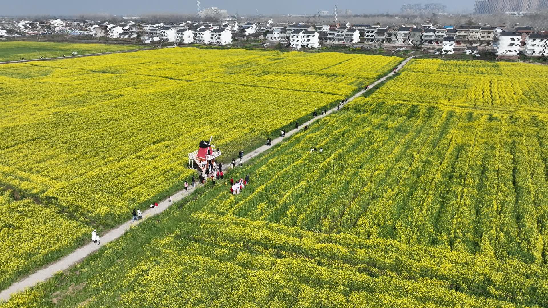 7000010胡3.jpg