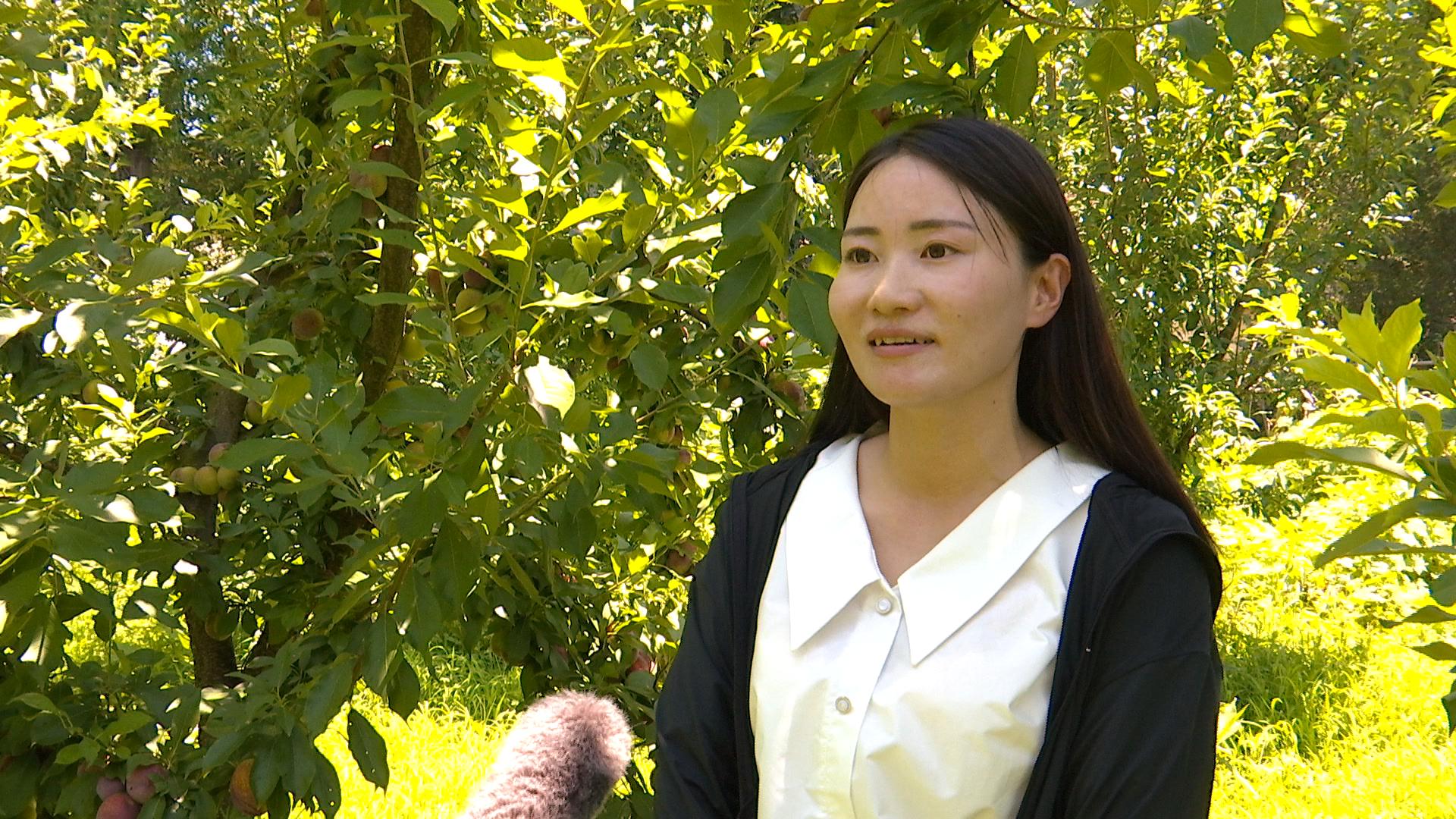 李子000005.jpg